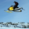 shane-points-in-mid-flight