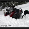 2005-nov-16-001-web
