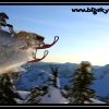 ts-pics-0306-cam-hicks-flying-by-mark-mesenbrink-web