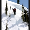 ts-pics-0406-brad-in-the-trees-by-jim-phelan-web