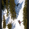 ts-pics-0406-shain-in-the-trees-by-dan-richter-web
