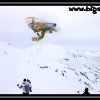 ts-pics-ak-carl-christianson-upside-down-by-shane-hedden-web