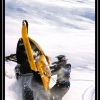 ts-pics-ak-cody-wheelie-by-trennis-baer-web