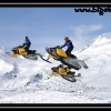 ts-pics-ak-shane-cody-and-carl-by-trennis-baer-web