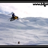 ts-pics-ak-shane-hedden-goes-huge-by-carl-web