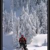 ts-pics-brad-story-pose-by-jim-phelan-web