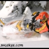ts-pics-dave-schell-nice-by-jim-phelan-web
