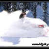 ts-pics-trin-julie-marquart-by-heidi-adams-web