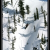 2007-brad-story-in-the-trees-by-natalie-story-web