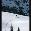 2007-brad-story-tail-stand-by-natalie-story-web