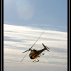2007-chopper-leaving-by-natalie-story-web