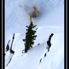 2007-dan-davidoff-roll-02-by-natalie-story-web