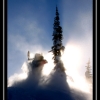 2007-jan-25-dave-schell-by-landon-dargan-web