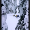 2007-jan-25-dave-schell-stuck-by-landon-dargan-web