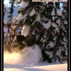 2007-jan-25-gerald-walter-wheelie-by-landon-dargan-web