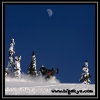 2007-jan-25-gerald-walter-with-moon-by-jim-phelan-web