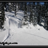 2007-jan-dave-schell-nice-by-joe-bushilla-web