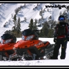 2007-julie-with-sleds-by-scott-m-web