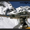 2007-ladybird-rotors-by-natalie-story-web