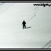 2007-nesbo-lonely-walk-down-by-scott-m-web