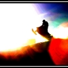 2007-scott-at-sunset-by-julio-web