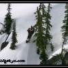 2007-shain-stanger-goes-crazy-by-carl-c-web