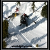 2007-shain-stanger-moving-by-natalie-story-web