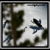 2007-wes-little-wheelie-by-team-ts-web