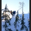 hr07-dave-schell-in-trees-by-jim-phelan-web