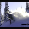 hr07-dave-schell-over-backwards-by-jim-phelan-web