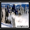 hr07-dave-schell-playing-by-jim-phelan-web
