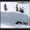 hr07-julie-marquart-hits-a-bump-by-jim-phelan-web