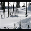 hr07-julie-marquart-in-the-trees-by-julio-eiguren-web