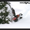 hr07-julie-marquart-into-tree-by-julio-eiguren-web