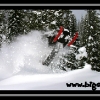 hr07-julie-marquart-through-the-trees-by-julio-eiguren-web