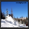 hr07-mark-mesenbrink-in-the-trees-by-dave-schell-web