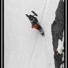 kd041-marks-cover-shot-escape-02-web
