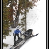 kd050-wes-stuck-on-a-tree-web