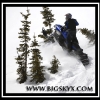 kd080-julio-in-the-trees-web