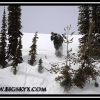 kd081-shain-jumps-through-the-trees-web