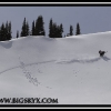 kd093-brad-with-huge-sidehill-web