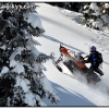 hr0210-julio-climbs-through-trees-web