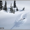 hr2010-cam-descending-deep-pow-web