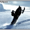 hr2010-dan-bush-wheelie-big-web