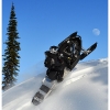 hr2010-dan-bush-with-moon-001-web
