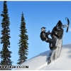 hr2010-dan-bush-with-moon-002-web