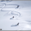 hr2010-group-powder-shot-web