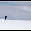 hr2010-randy-lonely-at-the-top-web