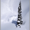 hr2010-randy-under-the-powder-web