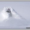 hr2010-rozzy-burrowing-under-the-pow-web